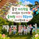자드락 | 울산 아이들과 가볼만한 곳 자드락숲 피크닉 후기 무료놀이터 숲체험 주차