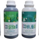뉴터