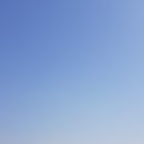 벨리시모카페 네이버블로그