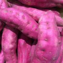 봉곡초등학교 병설유치원 이미지