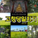 초록마을 선운점 | 전북 고창 청보리밭 축제 당일치기 여행 코스 추천