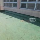 온여고길21번길 이미지