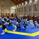 용인대 한미태권도 이미지