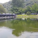 봉림낚시터 이미지