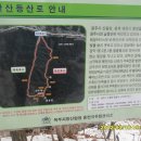 동막농장 이미지