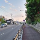 (천주교)평택성당 담장 | 평택성당