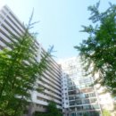 장미공인중개사사무소 이미지