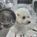 부산 리브동물의료센터 이미지