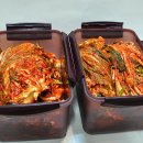 맛짱김치 이미지