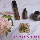 보라인셀덤 이미지