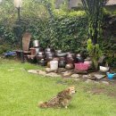 루아네 하우스 이미지