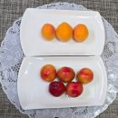 🍒대석자두 / [금난초님] 이미지