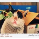 구리수퍼 이미지