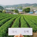 민수농산 이미지