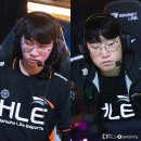 팀딜라이트 이미지