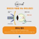 보다안경 이미지