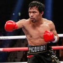 POWER9 복싱짐 이미지