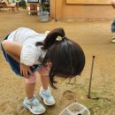 양양늘솔길 | 동물 좋아하는 아이와 가기 좋은 곳 BEST 15