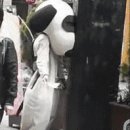 알바 Daum카페