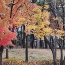 수잔나어린이집 이미지