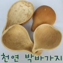 도자기(오전) 이미지