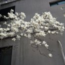 로뎀나무노인복지센터 이미지