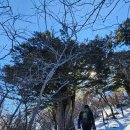 천제단 | 태백산 국립공원 겨울 산행 후기｜유일사 코스·장군봉·천제단 설경