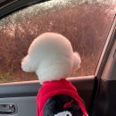 여주 멍스타 이미지