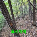 백두대간 능이버섯 산행.144 (수확조금) 이미지