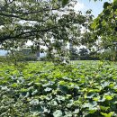 자산동128 이미지