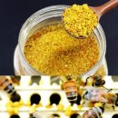 저희 꿀벌농장 소개합니다. 이미지