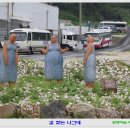 둔덕면사무소 이미지