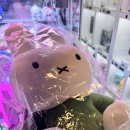 쇼미더뽑기방 이미지