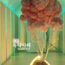 여수 실내볼거리 녹테마레 미디어전시회, 할인받아 입장한 성인종합권 후기