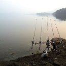 늘푸른낚시터 이미지