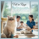 Fall in Rags 이미지