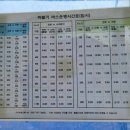 울릉도 여름 자유여행 준비&amp;간단후기 (2020년 8월)