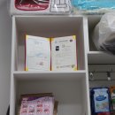 똥강아지 미용 이미지