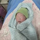 더웰샘한방병원 | 새봄여성병원 제왕절개 36주5일 쌍둥이 출산! 6박7일 입원 후기