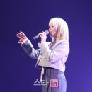 마이스링크 이미지