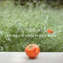 스킨푸드 이미지