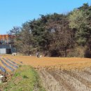 부영농장3 이미지