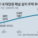 태양야채 이미지