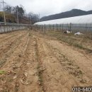 군서농장 이미지