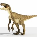 벨로시랩터 | 벨로시랩터, 완전 해부: 빠른 도둑의 진짜 모습은?