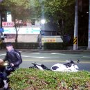 아모르카페 - 정선군 녹송로 108-1 | 아모르카페
