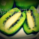 진환농장 이미지