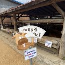 강원한우체험농장 이미지