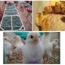 순환농장 이미지