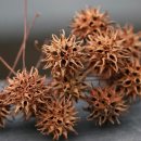 생태랑 놀아볼까 이미지